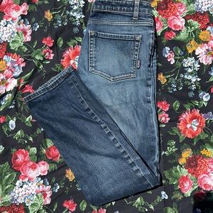 Patagonia Skinny Straight Jeans Blue